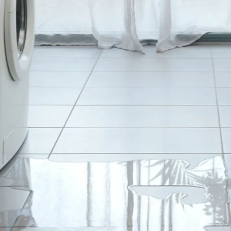 Appliance Leak Cleanup in Addison, ME