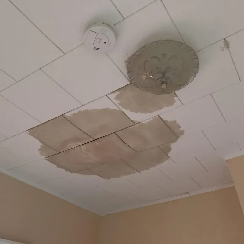 Ceiling Water Damage Repair in Addison, ME