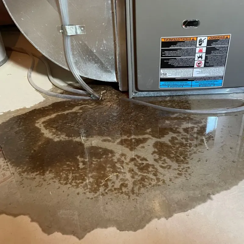 Pipe Burst and Leak Restoration in Addison, ME
